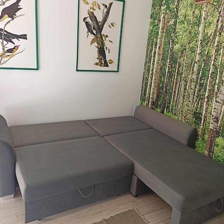 Studio Lesne Lubniewice Buitenkant foto