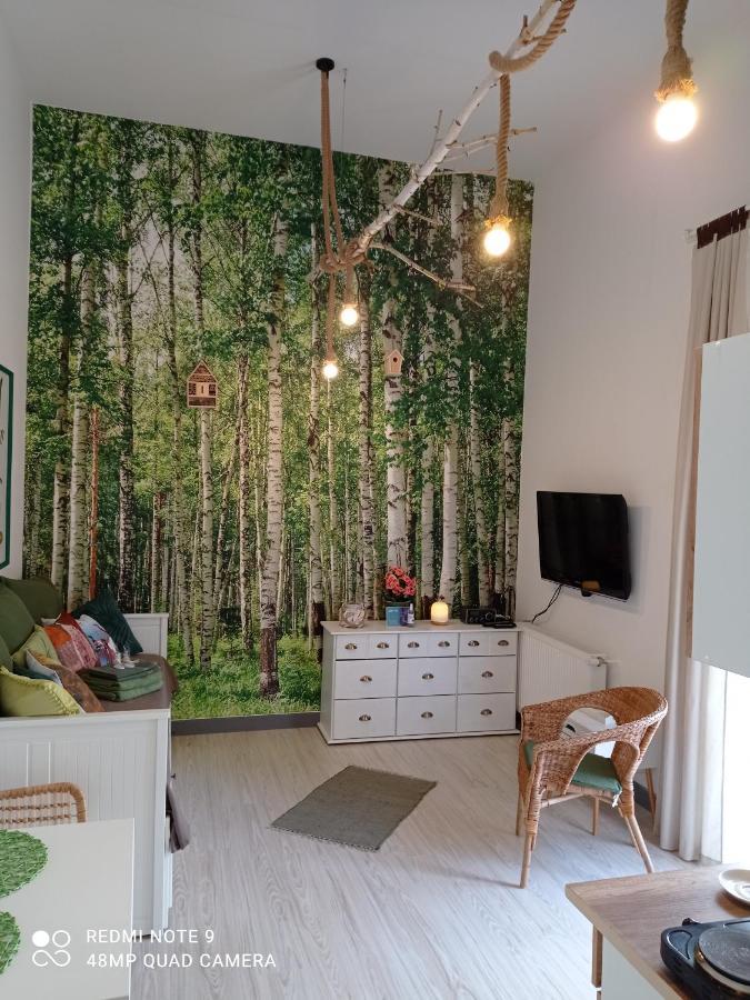 Studio Lesne Lubniewice Buitenkant foto