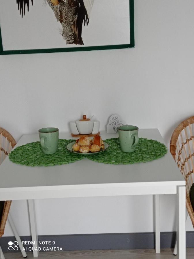 Studio Lesne Lubniewice Buitenkant foto