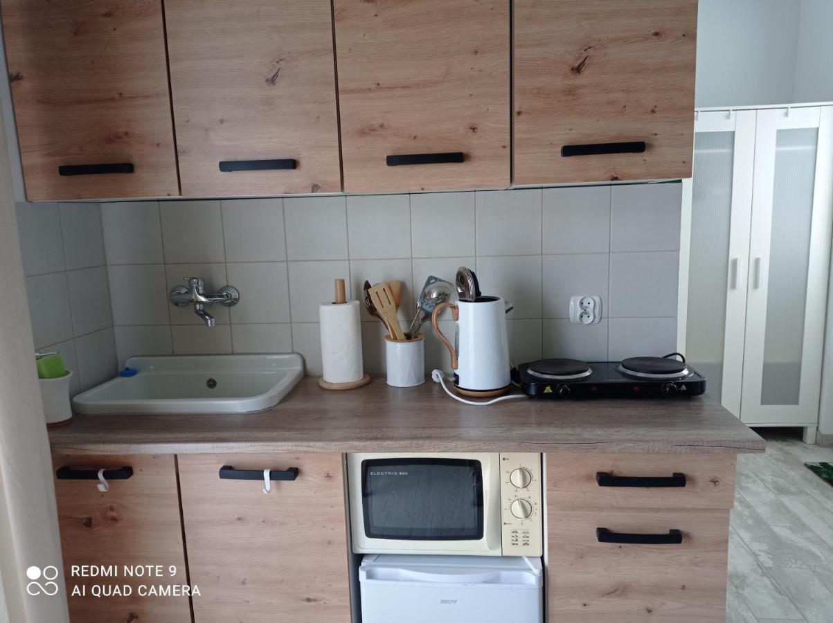 Studio Lesne Lubniewice Buitenkant foto
